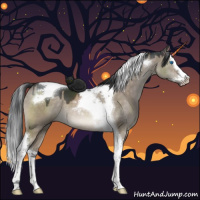 Horse Color:Brown Dun Sabino Splash Tobiano 