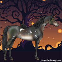 Horse Color:White Spotted Brown 