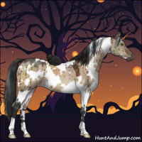 Horse Color:White Spotted Brown Dun Brindle