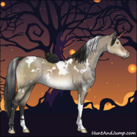 Horse Color:White Spotted Brown Dun 