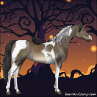 Horse Color:Brown Dun Tobiano 