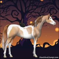 Horse Color:Brown Pearl Splash Tobiano