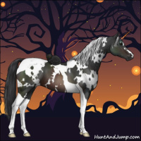 Horse Color:White Spotted Brown Tobiano