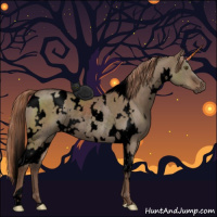 Horse Color:Void White Spotted Liver Red Dun Rabicano 