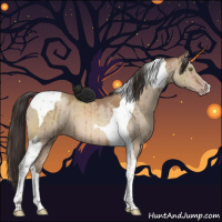 Horse Color:Sable Champagne Dun Tobiano Brindle