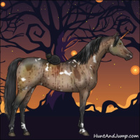 Horse Color:White Spotted Brown Dun Brindle 
