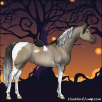 Horse Color:Brown Dun Tobiano