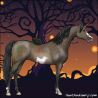 Horse Color:Brown Dun Frame