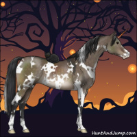 Horse Color:White Spotted Brown Dun Sabino
