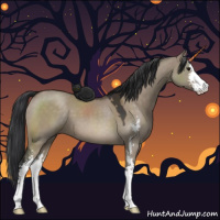 Horse Color:Brown Dun Sabino
