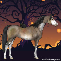 Horse Color:Brown Dun Sabino