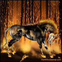 Horse Color:Gray Void White Spotted Brown Onyx 