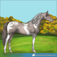 Horse Color:Platinum White Spotted Black Pearl Tobiano 