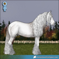 Horse Color:Gray Chestnut Splash Tobiano
