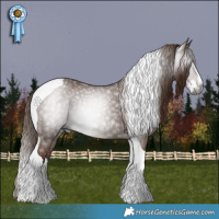 Horse Color:Gray Chestnut Splash Tobiano
