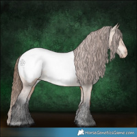 Horse Color:Bay Dun Appaloosa Rabicano 