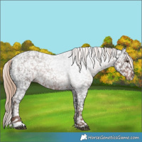 Horse Color:Liver Red Roan Snowflake Varnish Rabicano 