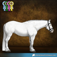 Horse Color:Brown Roan Dun Sabino Snowflake Varnish