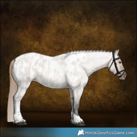 Horse Color:Liver Red Dun Roan Tobiano Near Leopard Rabicano 