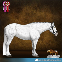 Horse Color:Brown Roan Sabino Blanket Rabicano