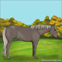 Horse Color:Silver Black 