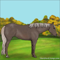Horse Color:Silver Black 