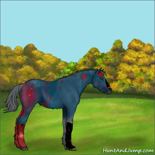 Horse Color:ERROR: UNKNOWN ANOMALY