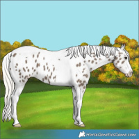 Horse Color:Silver Smoky Black Tobiano Near Leopard 
