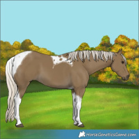 Horse Color:Silver Smoky Black Tobiano