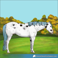 Horse Color:Painted Nacre White Spotted Midnight Brown Ice Sabino