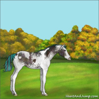 Horse Color:Painted White Spotted Midnight Bay Ice Splash Tobiano 