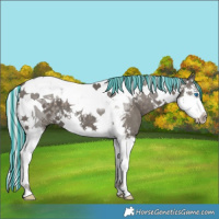 Horse Color:Painted Silver Black Splash Tobiano 