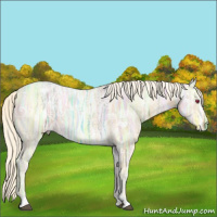 Horse Color:Watercolor Palomino Chinchilla Ice