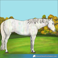 Horse Color:Watercolor Palomino Chinchilla Ice 