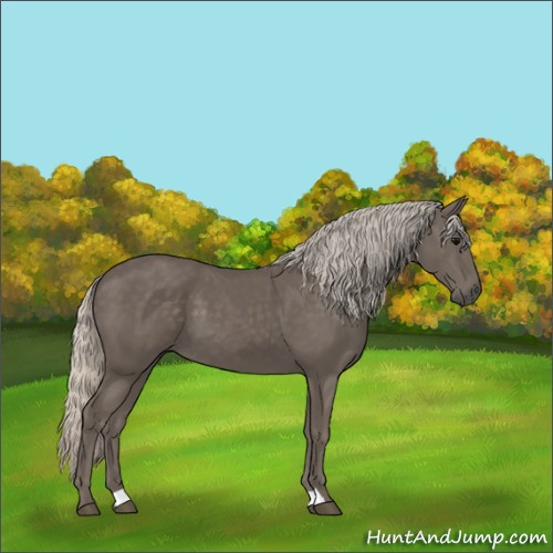 Horse Color:Silver Black 