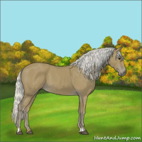 Horse Color:Silver Smoky Black 
