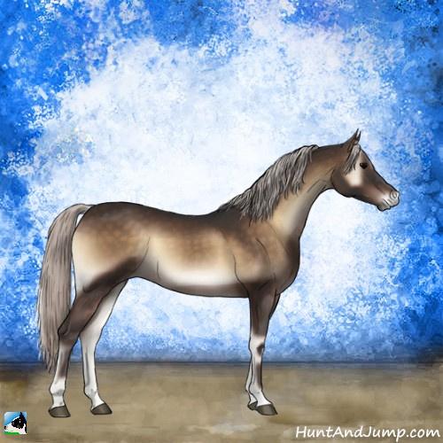 Horse Color:Silver Brown Onyx 