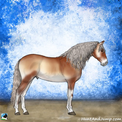 Horse Color:Silver Brown Onyx 