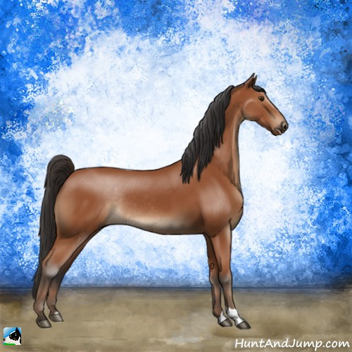 Horse Color:Brown Rabicano 