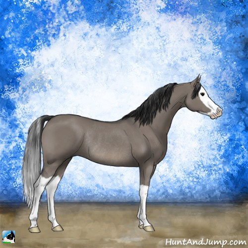 Horse Color:Grullo Splash Rabicano 