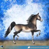 Horse Color:Brown Onyx 