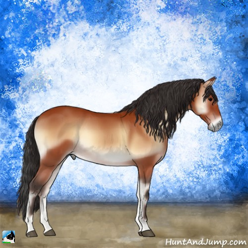 Horse Color:Bay Onyx 