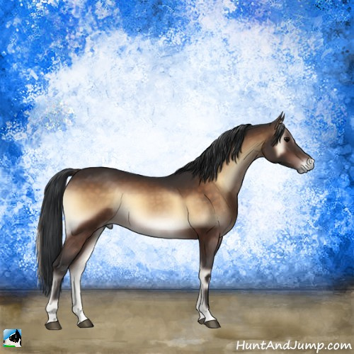 Horse Color:Brown Onyx 
