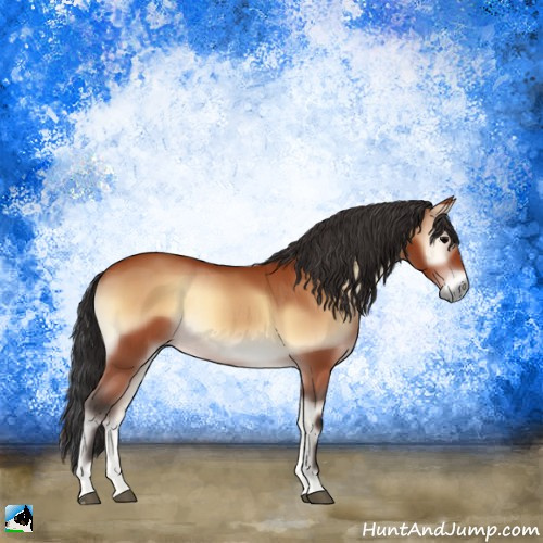 Horse Color:Bay Onyx 