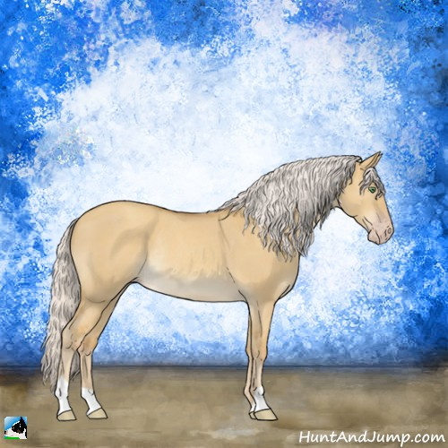 Horse Color:Silver Classic Cream Champagne Dun Rabicano 