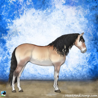 Horse Color:Brown Onyx