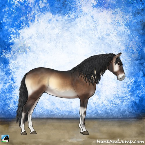 Horse Color:Brown Onyx 