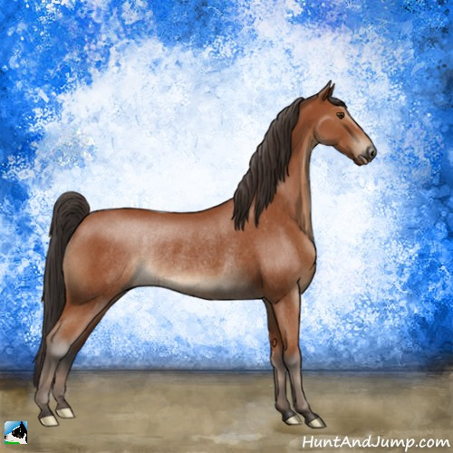 Horse Color:Bay Rabicano