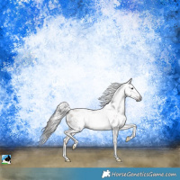 Horse Color:Gray Classic Champagne Sabino Splash Tobiano Frame Leopard Rabicano 