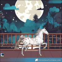 Horse Color:Sable Champagne Sabino Blanket Rabicano 